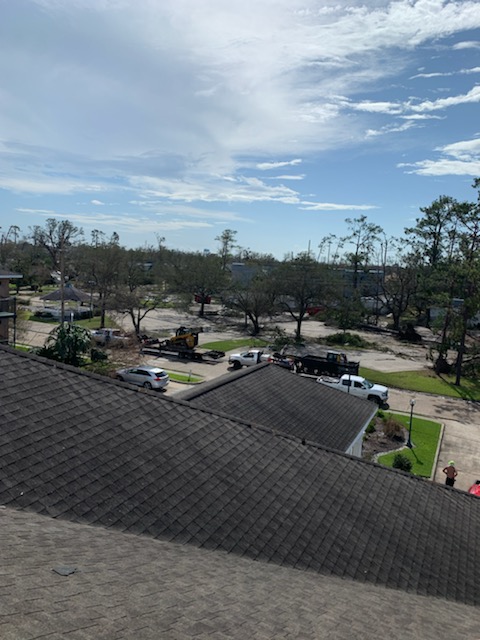 shingle roof